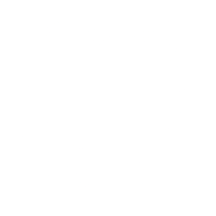 github brand logo